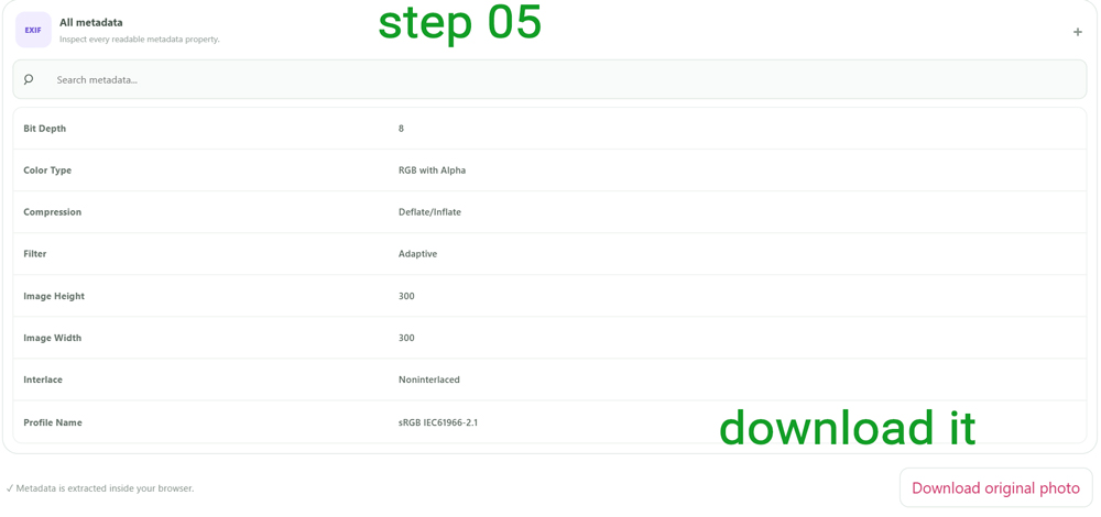 Download the original photo after viewing its EXIF metadata