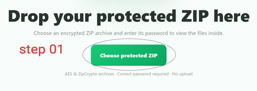 Choose a password protected ZIP archive in the online ZIP opener