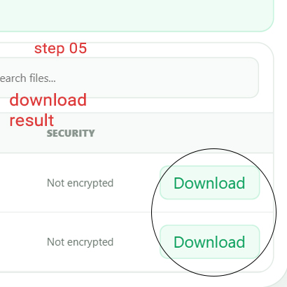 Browse an unlocked encrypted ZIP and download an individual decrypted file